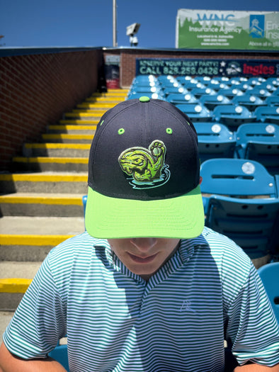 The Asheville Tourists Snot Otters 9Forty New Era