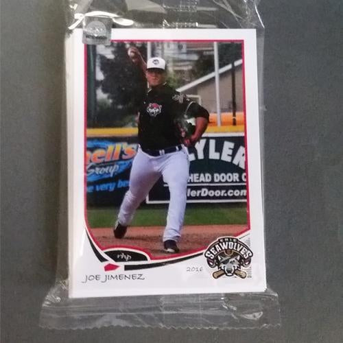 2016 Erie SeaWolves Team Set