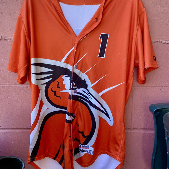 Delmarva Shorebirds 2024 Wilson Authentic Game Used Orange Friday Jersey