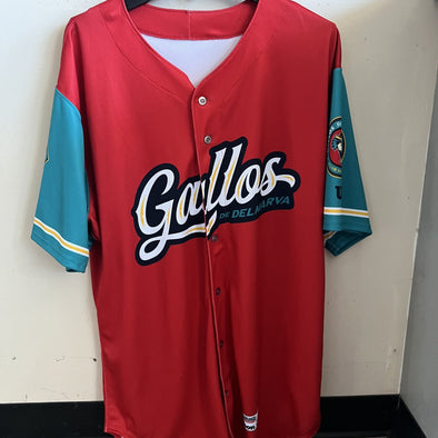 Gallos de Delmarva Game Worn Jersey