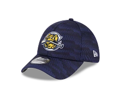 New Era 39THirty RiverDogs Home Cap "Andy" Flexfit