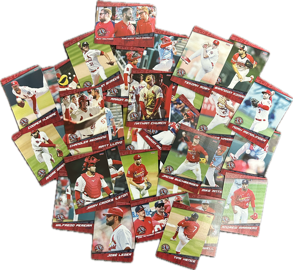 Springfield Cardinals Team Set 2024