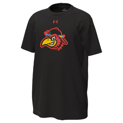 Delmarva Shorebirds Under Armour Sherman TNC Youth Tee