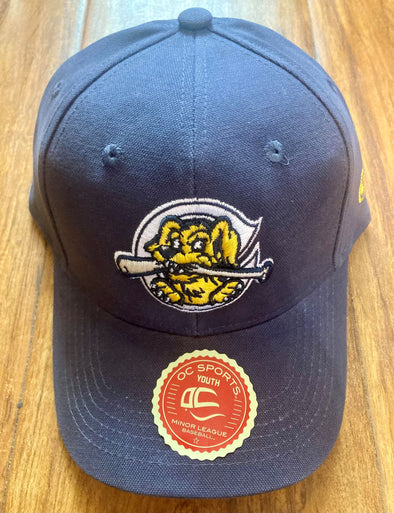 Charleston RiverDogs Youth Infielder Navy Home Cap