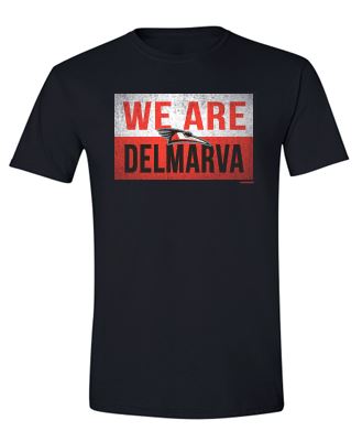 Delmarva Shorebirds 108 Stitches We Are Tee