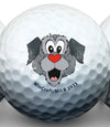 Wincraft Golf Balls