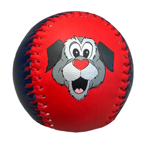 Worcester Red Sox Red/Navy Woofster Baseball