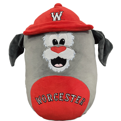 Worcester Red Sox Woofster Squishy Pillow