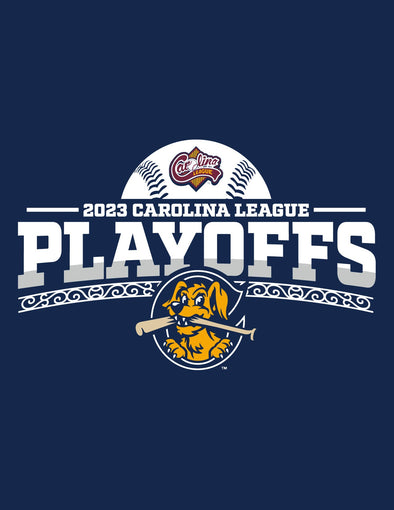 Charleston RiverDogs 2023 Back-to-Back-to-Back Playoffs Tee