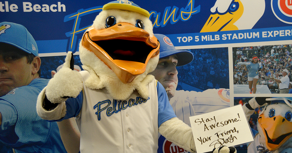 PERSONAL MESSAGE FROM THE MYRTLE BEACH PELICANS' MASCOT SPLASH