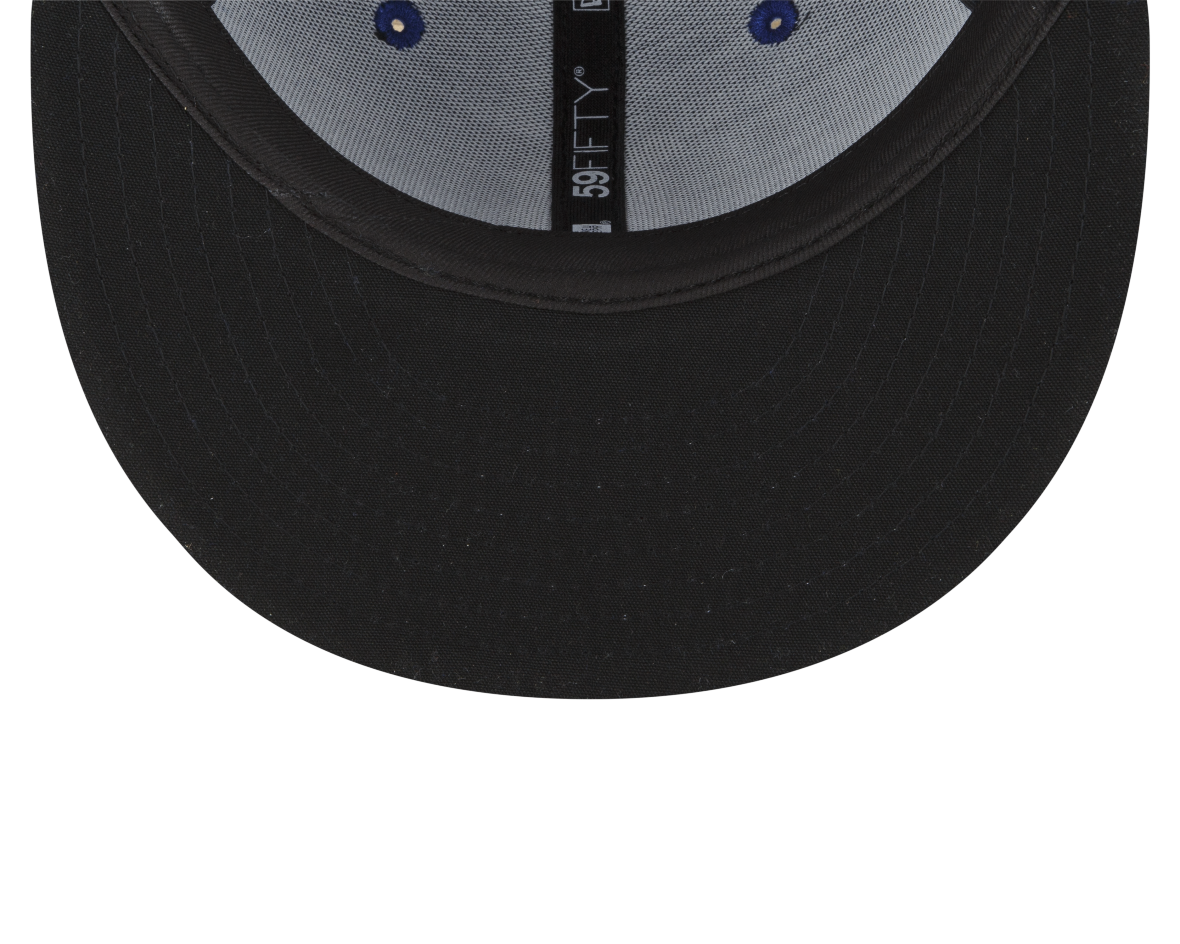 Fanatics minor best sale league hats