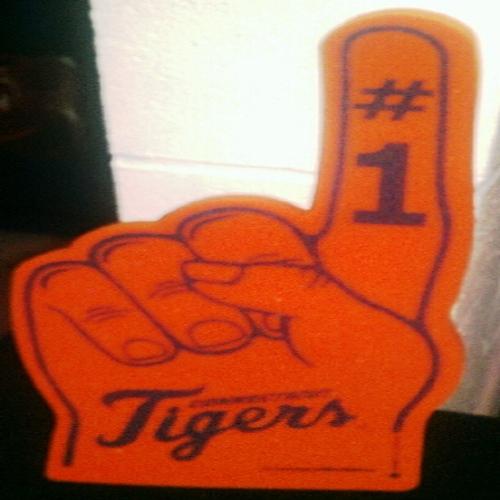 Connecticut Tigers CT Tigers Foam Fingers
