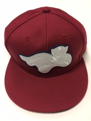 Somerset Patriots Whiteout Logo Snap Back Cap