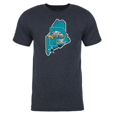 Retro Teal State of Maine T-Shirt