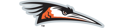 Delmarva Shorebirds