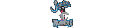 Jupiter Hammerheads